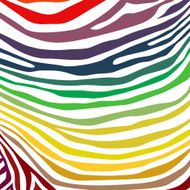 Zebra Pattern N9