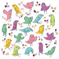 Bird N27