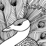 Decorative ornamental peacock Doolle style N3