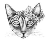 Hand drawn of cat N2