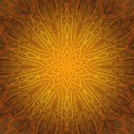 Beautiful lace ornament N3