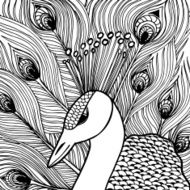 Decorative ornamental peacock N4