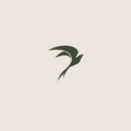 Swallow bird abstract vector logo design template