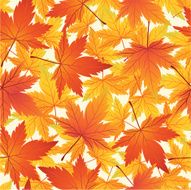 Autumn pattern N7