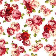 Pattern of rose N21