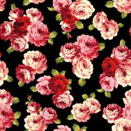 Pattern of rose N22
