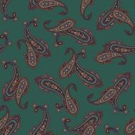 pattern paisley N128