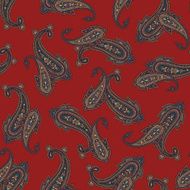 pattern paisley N129