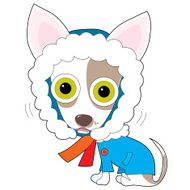 Chilly Chihuahua