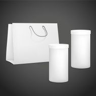 blank shopping paper bag and packaging can N2