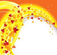 Fall N5