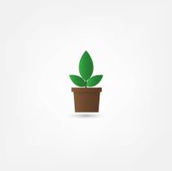 Flower in a pot icon N3