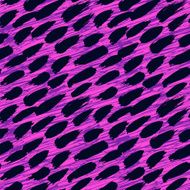 Animal luxurious pattern with wild brushstrokes