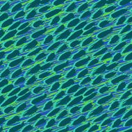 Animal pattern inspired by tropical fish skin N6