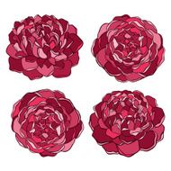 set of beautiful flower isolated on white background