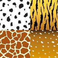 Pattern of animals
