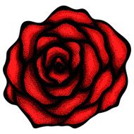 abstract rose free-hand drawing in a graphic style