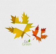 Autumn leaf on paper abstract background N2