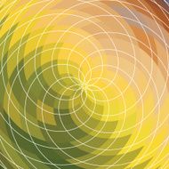 Vector spiral background