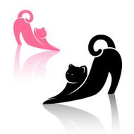 Vector image of an cat N6