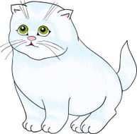 White cat sitting with isolation