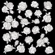 Rose bouquet N7