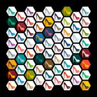 Flat design shoe N5