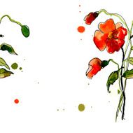 Postcard painted red poppy N16