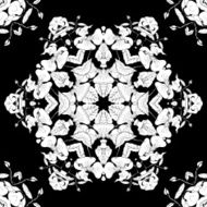 Seamless pattern with floral ornament snowflakes monochrome