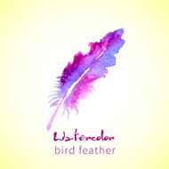 Feather Painted Live Watercolor Paint N11