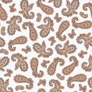 pattern paisley N137