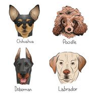 Set of hand drawn dogs vector illustration N2