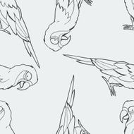 Parrot macaw outline pattern