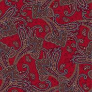 pattern paisley N140