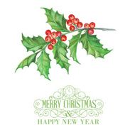 Christmas Mistletoe N10