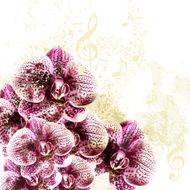 Grunge background with orchid flowers