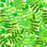 Floral pattern with leaves and foliage