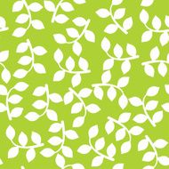 Branches N2