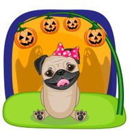 Halloween N176