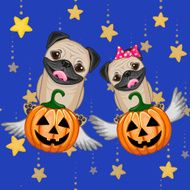 Halloween N177