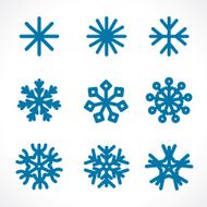 Snowflakes N15
