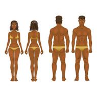 vector young woman and guy in underwear Body templates N3