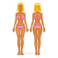 Fat and thin woman vector illustration normal anorexia body N8