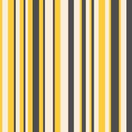 Abstract geometric striped pattern N3