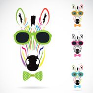 Vector image of a zebra wear glasses on white background