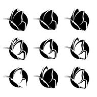 Butterfly symbols N4