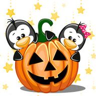 Halloween N178