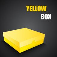 Package yellow box design
