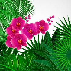 Floral design background Orchid flowers N2