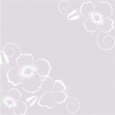 Vintage vector abstract background with white lace N2